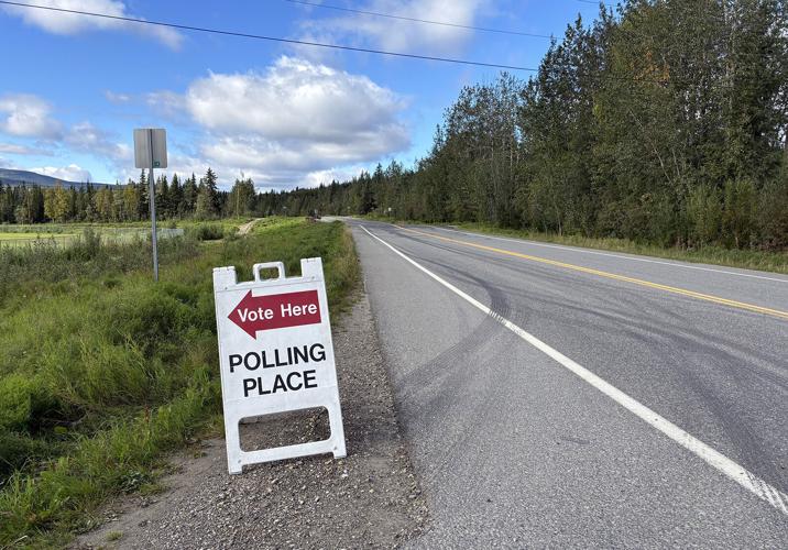 Primary Election Day