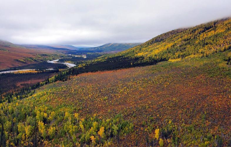 Autumn on the Dalton