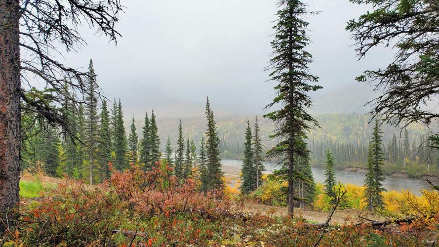 Autumn on the Dalton