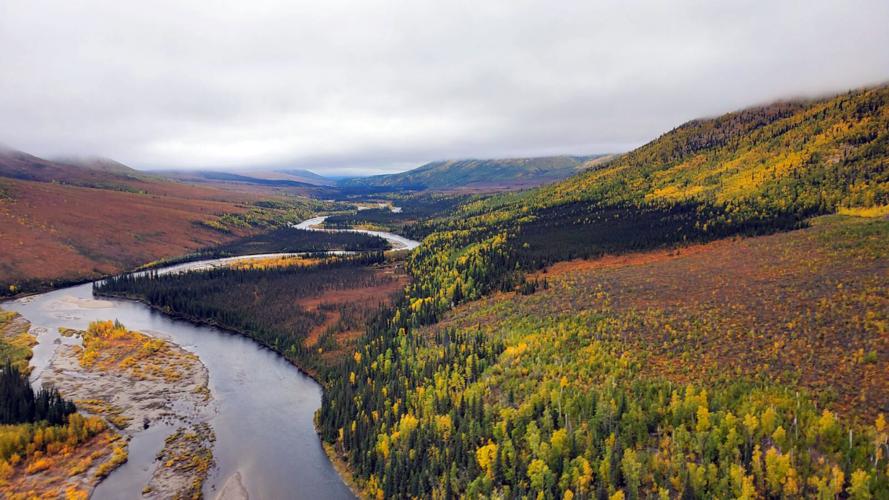 Autumn on the Dalton