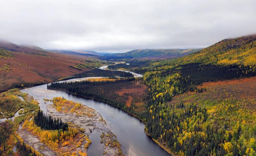 Autumn on the Dalton