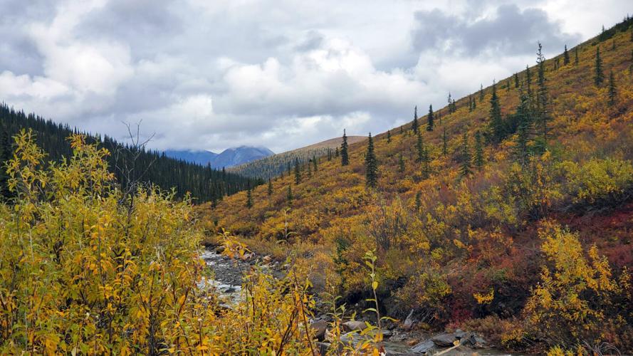 Autumn on the Dalton