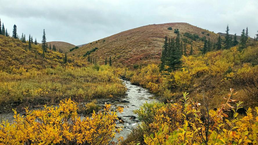 Autumn on the Dalton