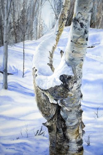 "A Confluence of Limbs"