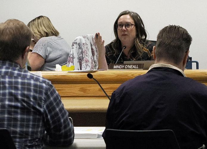 Borough budget workshop