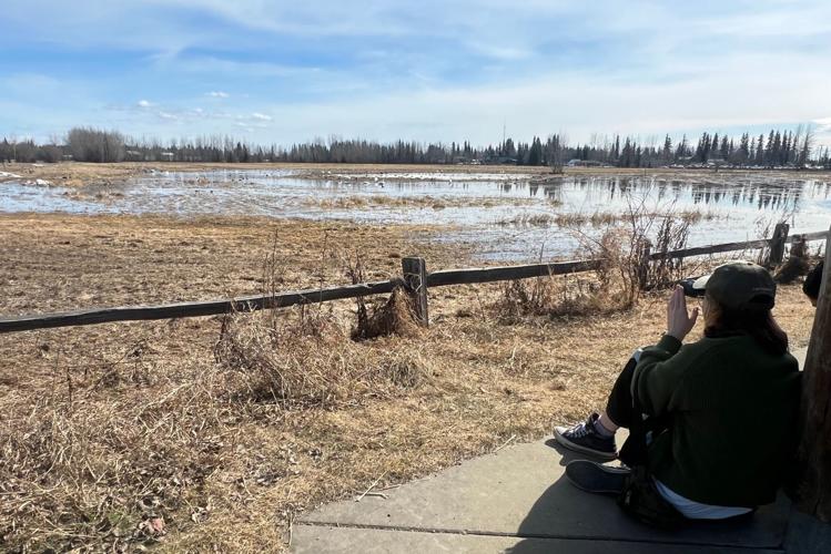 These visitors flew in